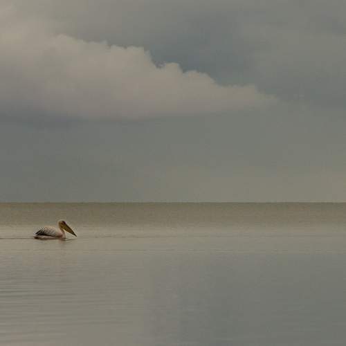 Photo #7343786