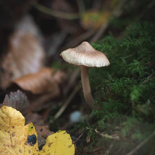 Photo #7344020