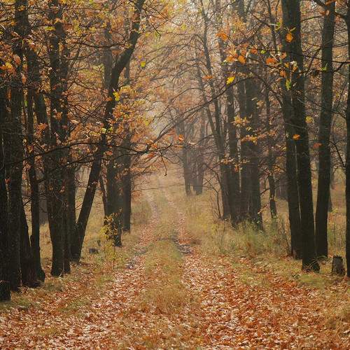 Photo #7344489