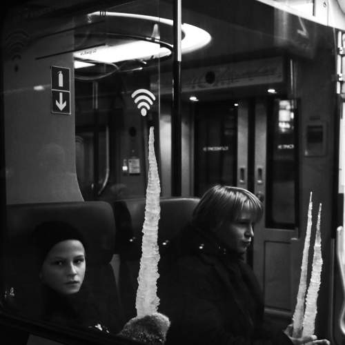 Photo #7344581