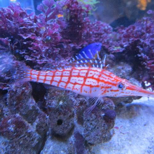 Photo #7344865