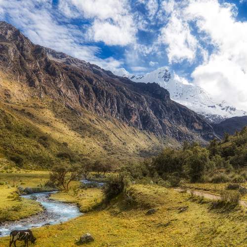 Фотография #7344980