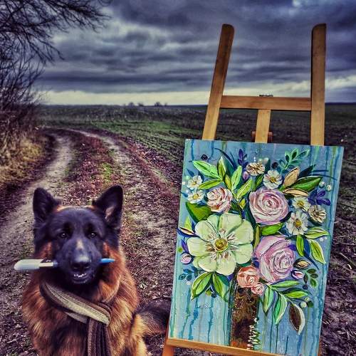 Photo #7345083