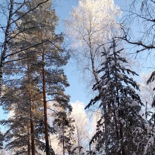 Photo #7345182