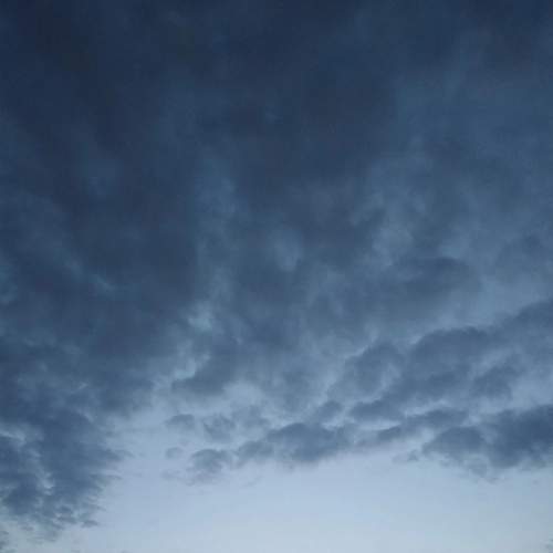 Photo #7345299
