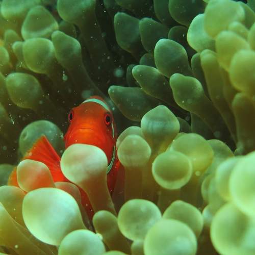 Photo #7345400