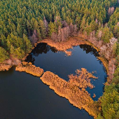 Photo #7345424