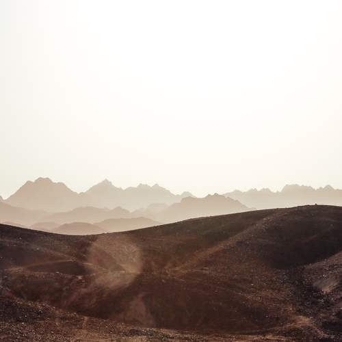 Photo #7345496