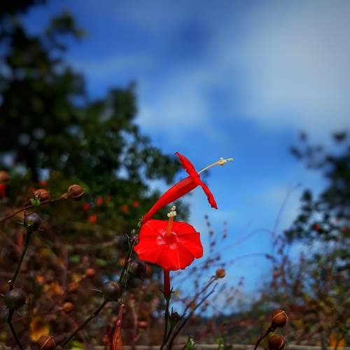Photo #7345679