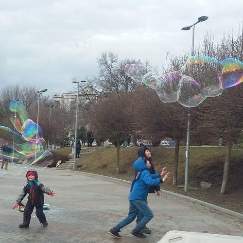 Photo #7345719