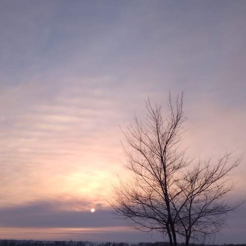 Photo #7345732