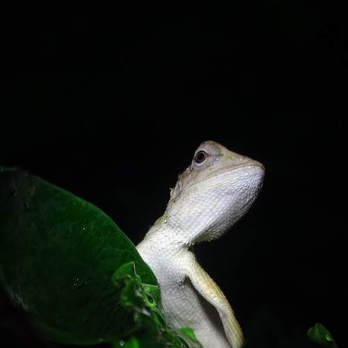 Photo #7345896