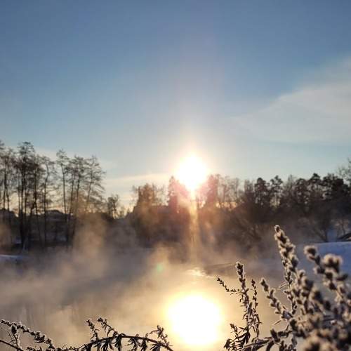 Photo #7345924