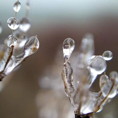 Photo #7346020