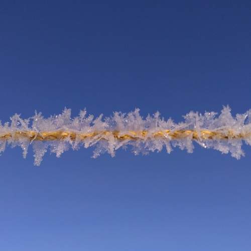 Photo #7346109
