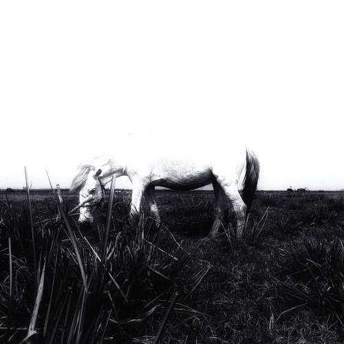 Photo #7346171