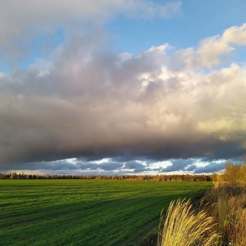 Photo #7346196