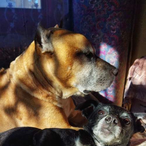 Photo #7346243