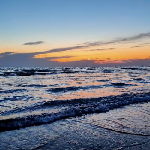 Photo #7346245