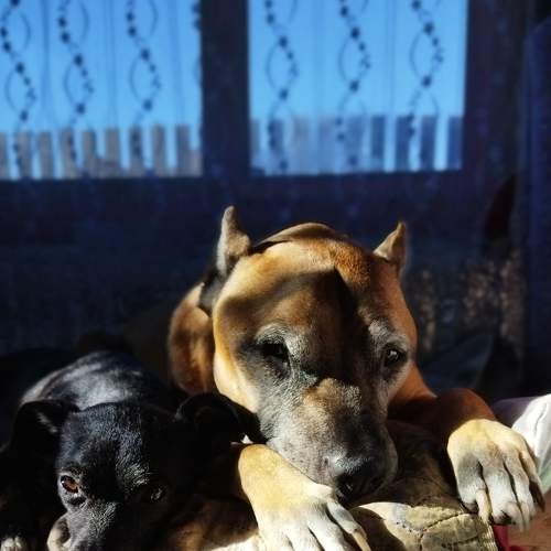 Photo #7346321