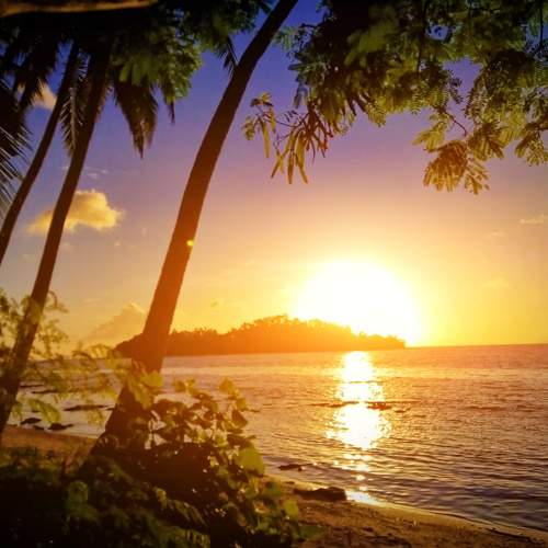 Photo #7346362