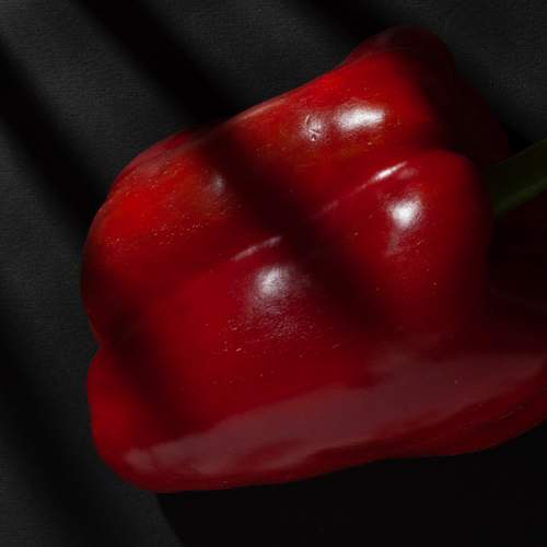 Photo #7346464