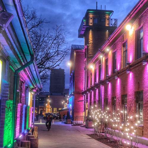 Photo #7346500