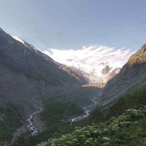 Photo #7346736