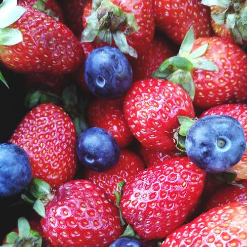 Photo #7346754