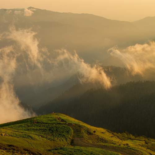 Photo #7346761