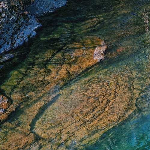 Photo #7346801