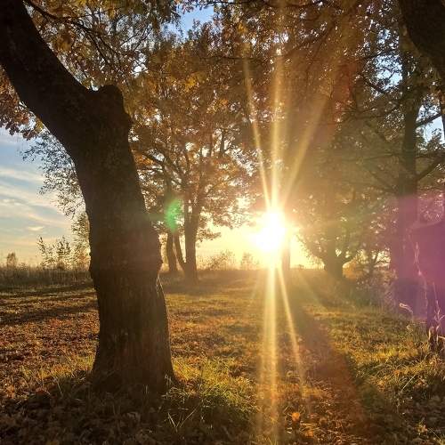 Photo #7346811