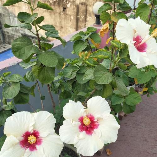 Photo #7346828