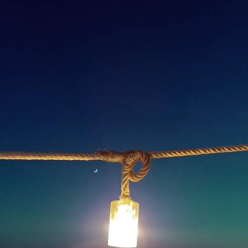 Photo #7347022