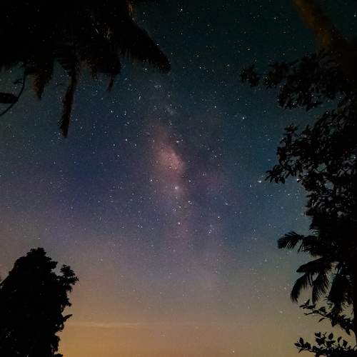 Photo #7347114