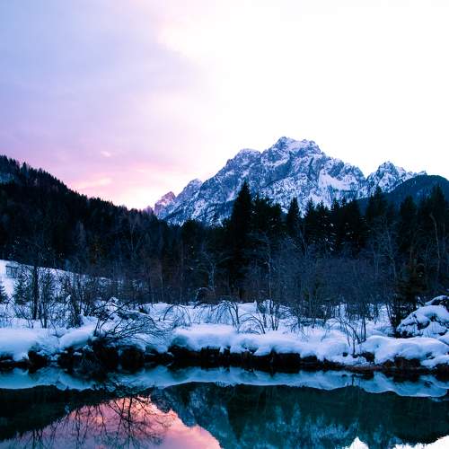 Photo #7347167