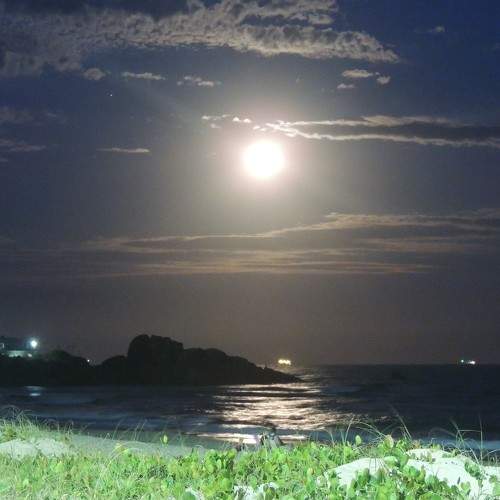 Photo #7347279