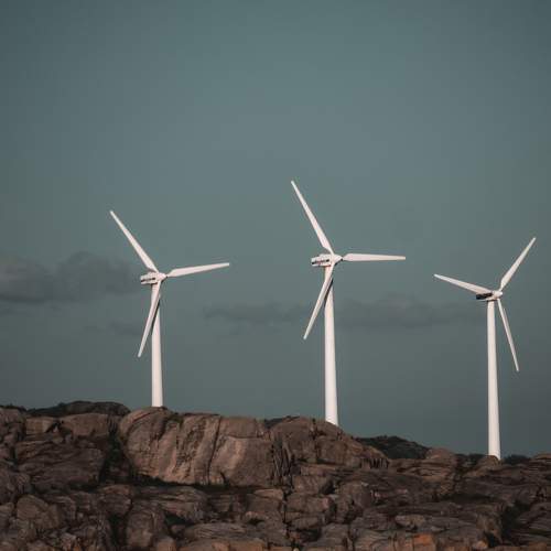 Photo #7347302