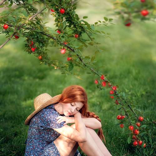 Photo #7347327