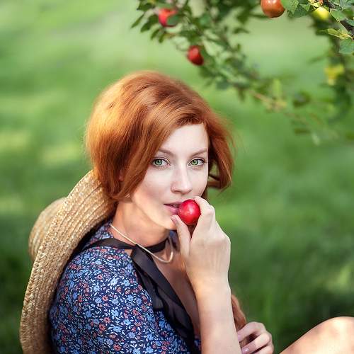 Photo #7347355