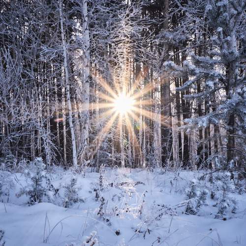 Photo #7347554