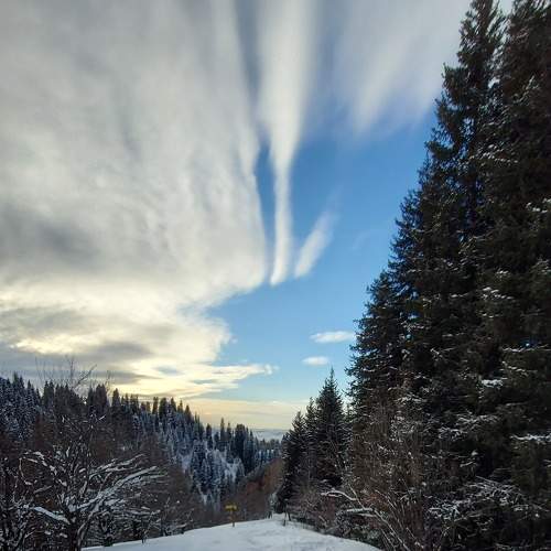 Photo #7347631