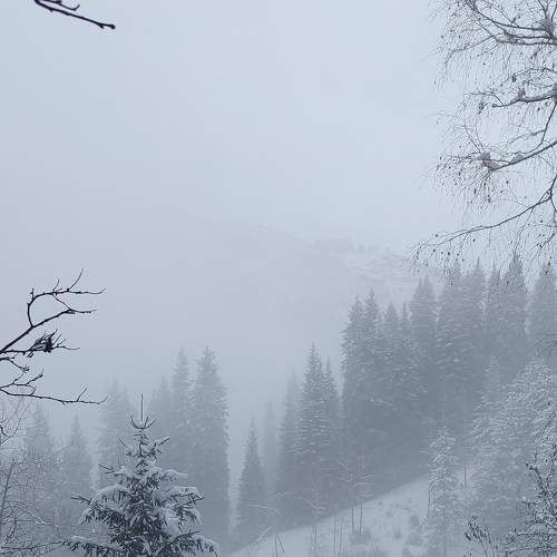 Photo #7347632