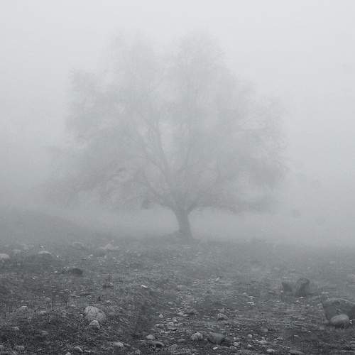 Photo #7347672