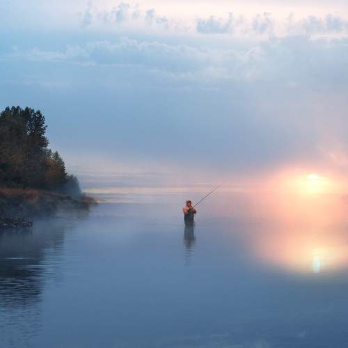 Photo #7348050
