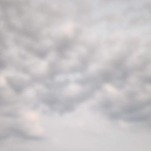 Photo #7348203