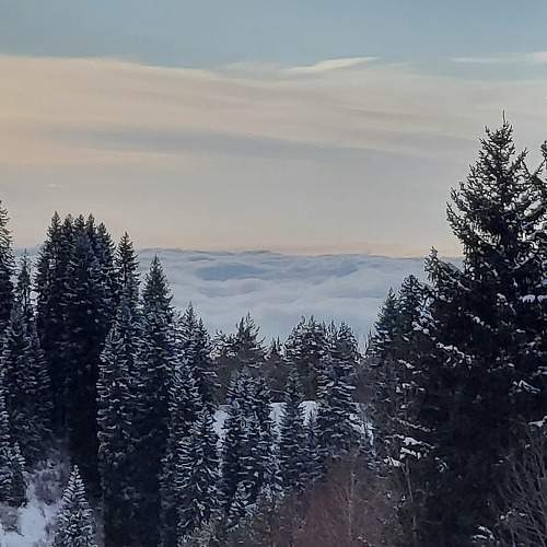 Photo #7348212