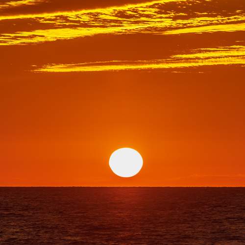 Photo #7348698