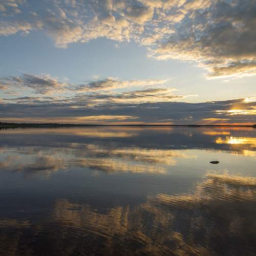 Photo #7348753