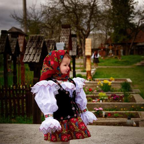 Photo #7348774